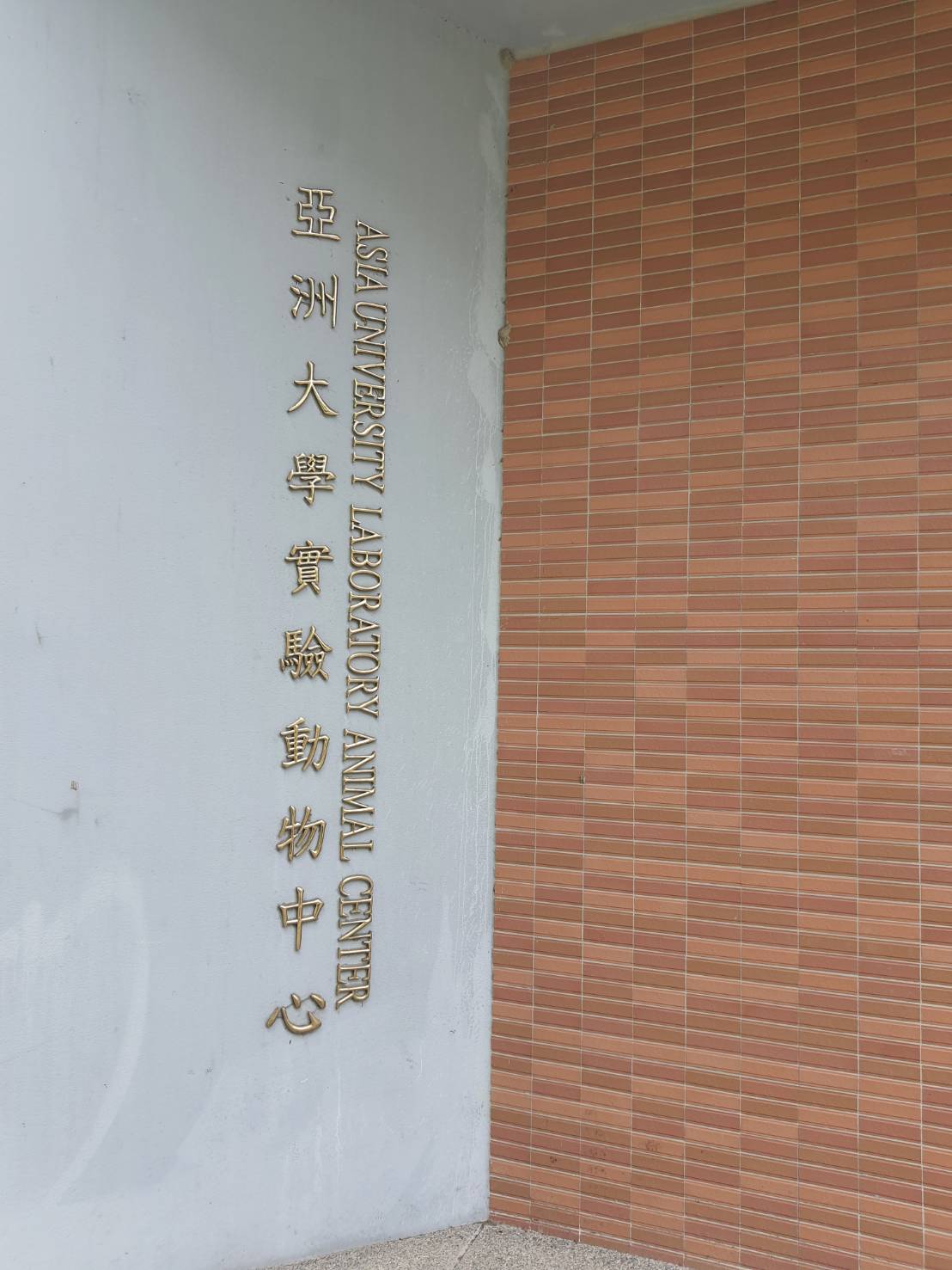 這是一張圖片