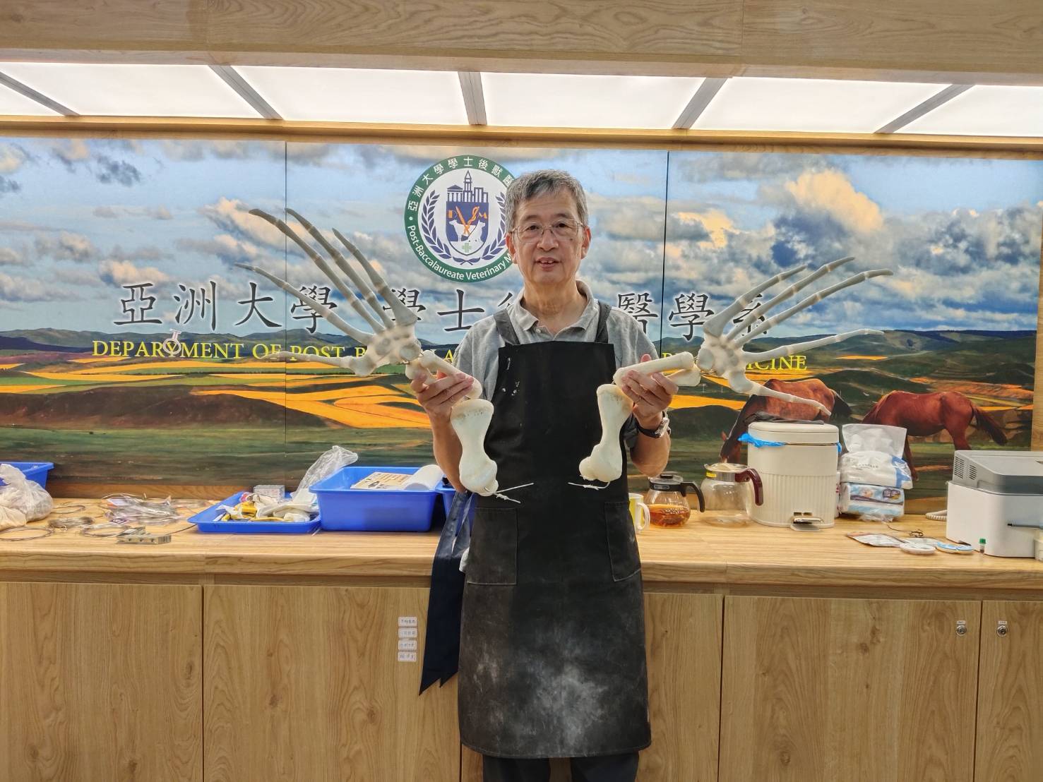 114年館藏革龜標本製作計畫