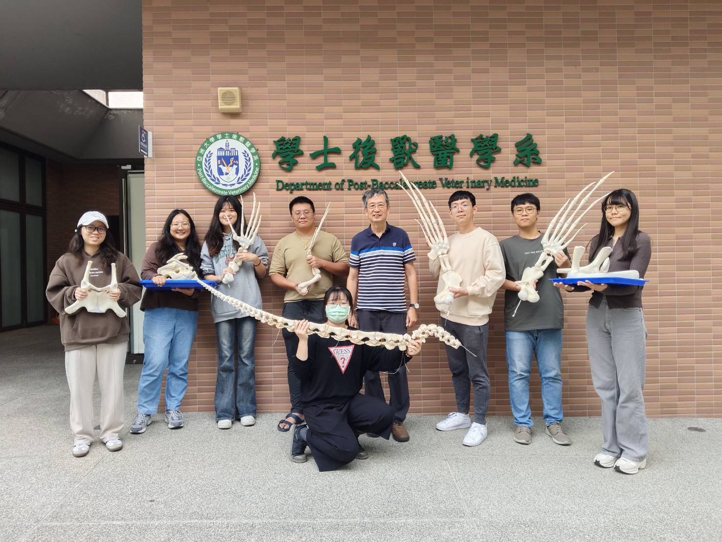 114年館藏革龜標本製作計畫執行成果